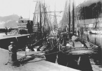 El puerto, como generador de riqueza. Año 1914