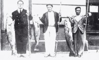 Ao 1922. El tro ganador de un concurso de pesca de la Sociedad Caza y Pesca. De izquierda a derecha: Sr. ortiz de Urbina, con una andeja de 20 kilos; Sr. Navarro (padre del boxeador Kid Zanahoria), andeja de 12 kilos; y un veraneante alicantino cuyo nombre no nos ha llegado, mostrando su andeja de 15 kilos. Comparando el tamao de estas piezas sacadas desde las rocas de la Zurriola, con las que se obtienen en los concursos de hoy en da, nos damos cuenta de la prdida irreparable que ha sufrido el Cantbrico